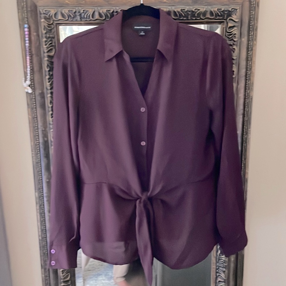 Sheer Long Sleeve Blouse